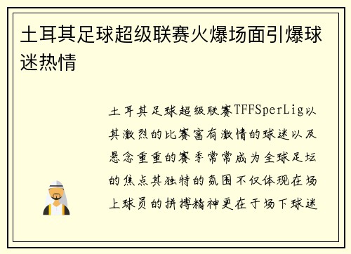 土耳其足球超级联赛火爆场面引爆球迷热情